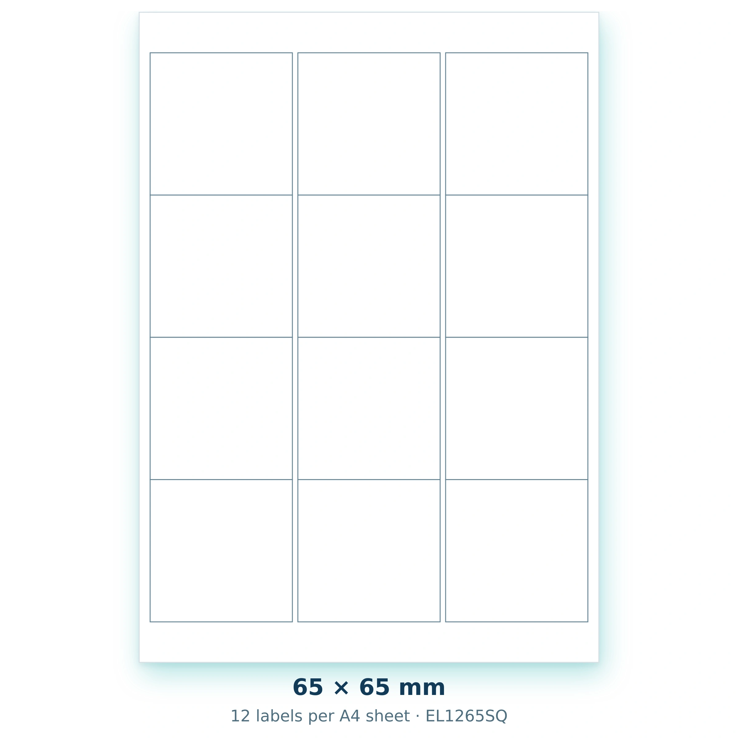 65 × 65 mm — 12 labels per A4 sheet