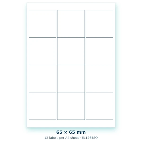 EvoLabels 65 × 65 mm · 12 labels per A4 sheet
